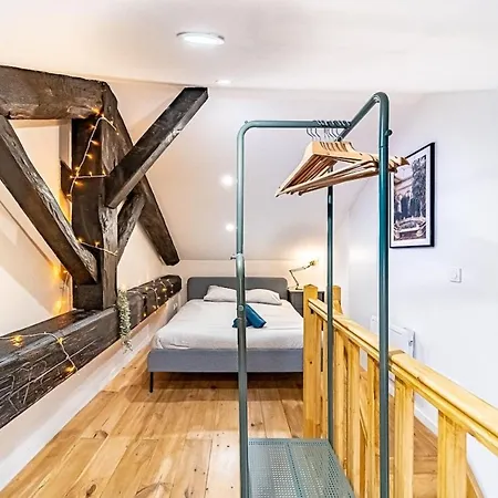 Apartment Charming Cozy Duplex In Near Lyon And Oullins *