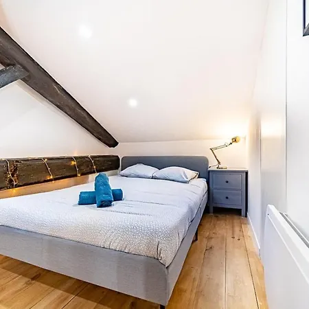 Charming Cozy Duplex In Near Lyon And Oullins